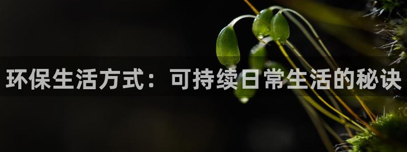 jdb飞鸟派发大奖视频