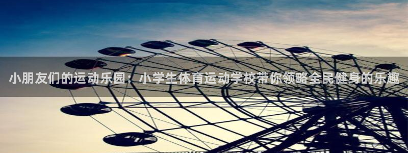 vsport体育：小朋友们的运动乐园：小学生体育运动学校带你领略全民健身的乐趣