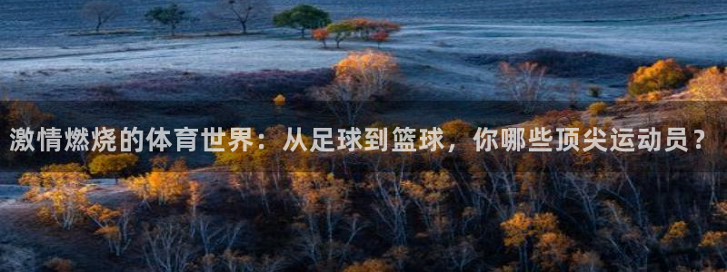 vsport体育在线官网：激情燃烧的体育世界：从足球到篮球，你哪些顶尖运动员？