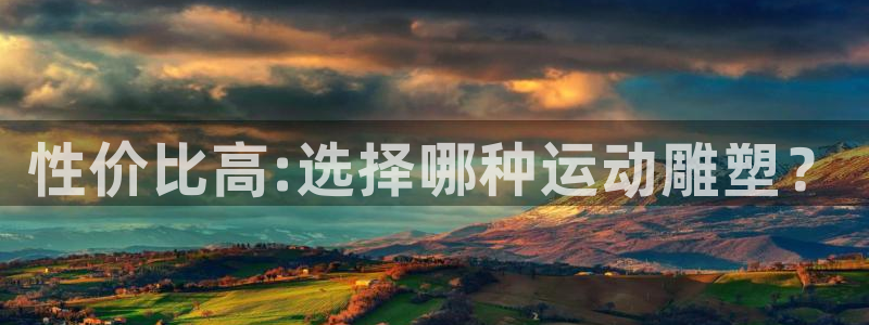 vsport体育：性价比高:选择哪种运动雕塑？