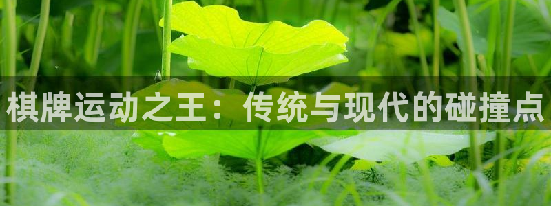 vsport体育在线官网：棋牌运动之王：传统与现代的碰撞点