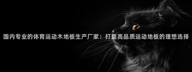 vsport体育在线官网：国内专业的体育运动木地板生产厂家：打造高品质运动地板的理想选择