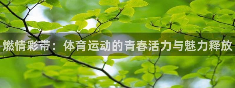 vsport体育：燃情彩带：体育运动的青春活力与魅力释放