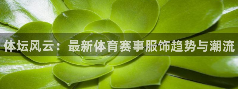 vsport体育：体坛风云：最新体育赛事服饰趋势与潮流