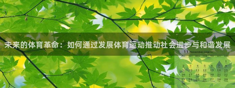 vsport体育：未来的体育革命：如何通过发展体育运动推动社会进步与和谐发展