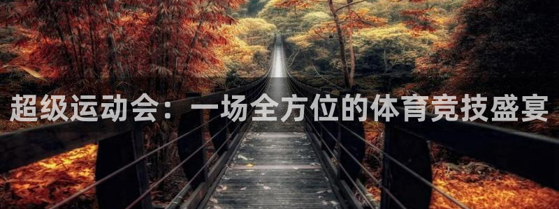 vsport体育：超级运动会：一场全方位的体育竞技盛宴