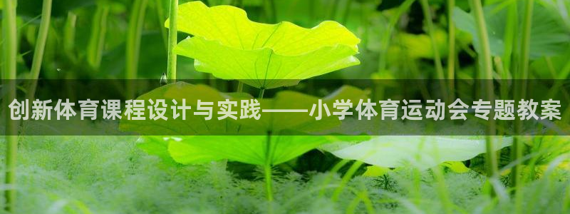 vsport体育：创新体育课程设计与实践——小学体育运动会专题教案