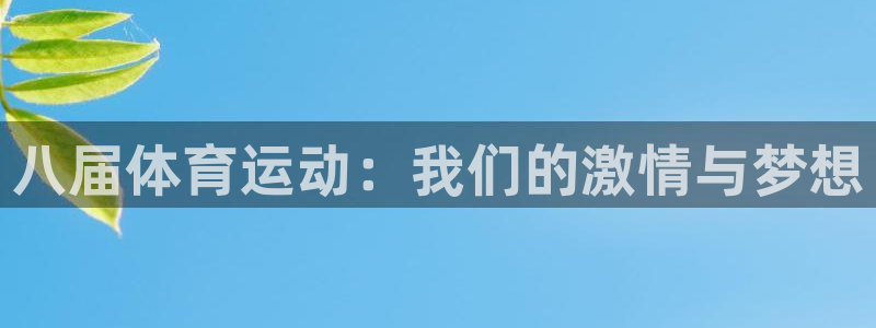 vsport体育：八届体育运动：我们的激情与梦想
