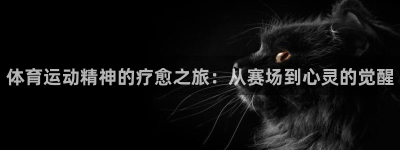 vsport体育：体育运动精神的疗愈之旅：从赛场到心灵的觉醒
