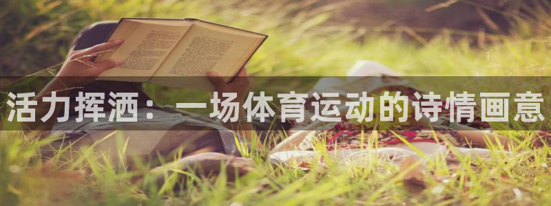 vsport体育在线官网：活力挥洒：一场体育运动的诗情画意