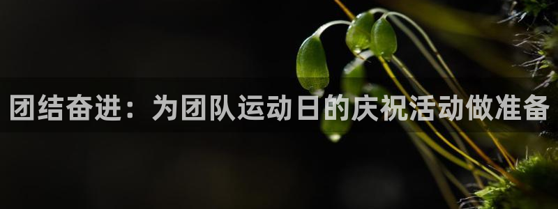 vsport体育在线官网：团结奋进：为团队运动日的庆祝活动做准备