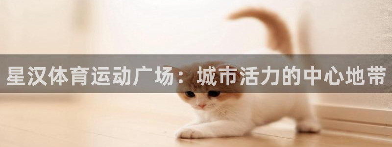 vsport体育：星汉体育运动广场：城市活力的中心地带