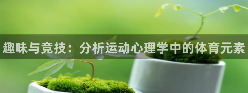 vsport体育：趣味与竞技：分析运动心理学中的体育元素