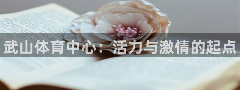 vsport体育：武山体育中心：活力与激情的起点