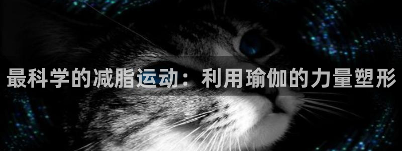 vsport体育在线官网