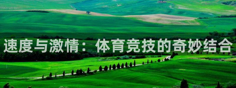 vsport体育在线官网：速度与激情：体育竞技的奇妙结合