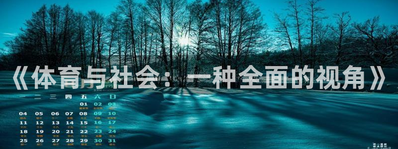 vsport体育：《体育与社会：一种全面的视角》