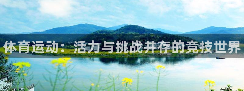 vsport体育：体育运动：活力与挑战并存的竞技世界