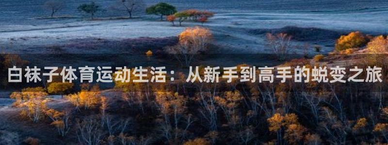 vsport体育：白袜子体育运动生活：从新手到高手的蜕变之旅
