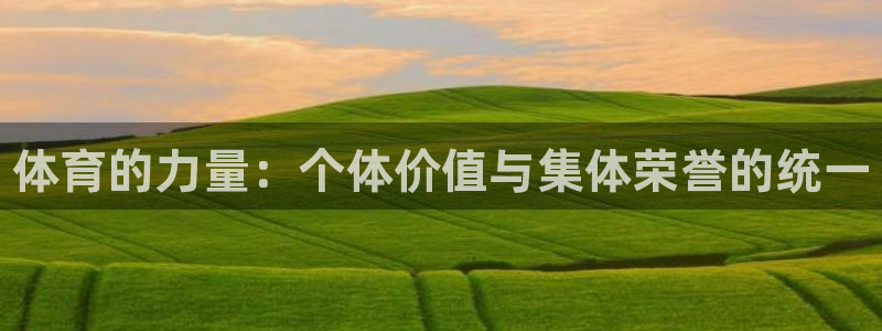 vsport体育：体育的力量：个体价值与集体荣誉的统一