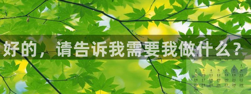 vsport体育在线官网