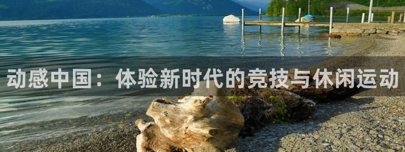 vsport体育在线官网：动感中国：体验新时代的竞技与休闲运动