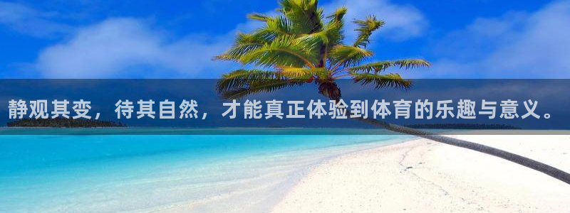 vsport体育在线官网：静观其变，待其自然，才能真正体验到体育的乐趣与意义。