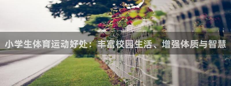 vsport体育在线官网：小学生体育运动好处：丰富校园生活、增强体质与智慧