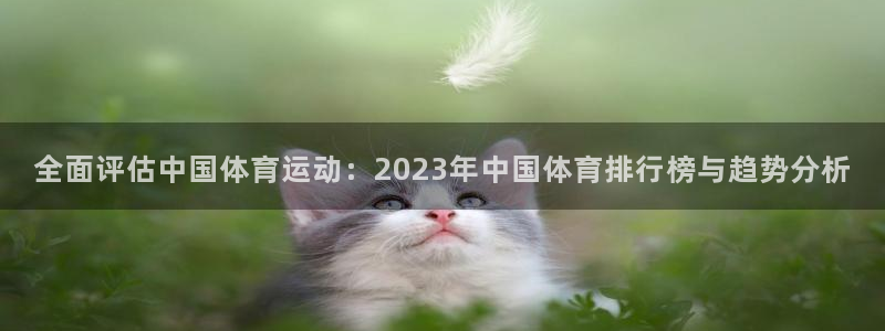 vsport体育：全面评估中国体育运动：2023年中国体育排行榜与趋势分析