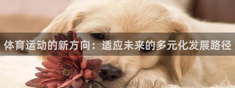 vsport体育：体育运动的新方向：适应未来的多元化发展路径